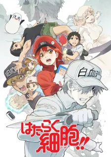 دانلود انیمه Hataraku Saibou!! با کیفیت 1080 از لینک مستقیم به صورت یکجا و تک قسمتی به همراه پخش آنلاین