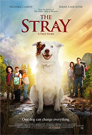 دانلود فیلم The Stray